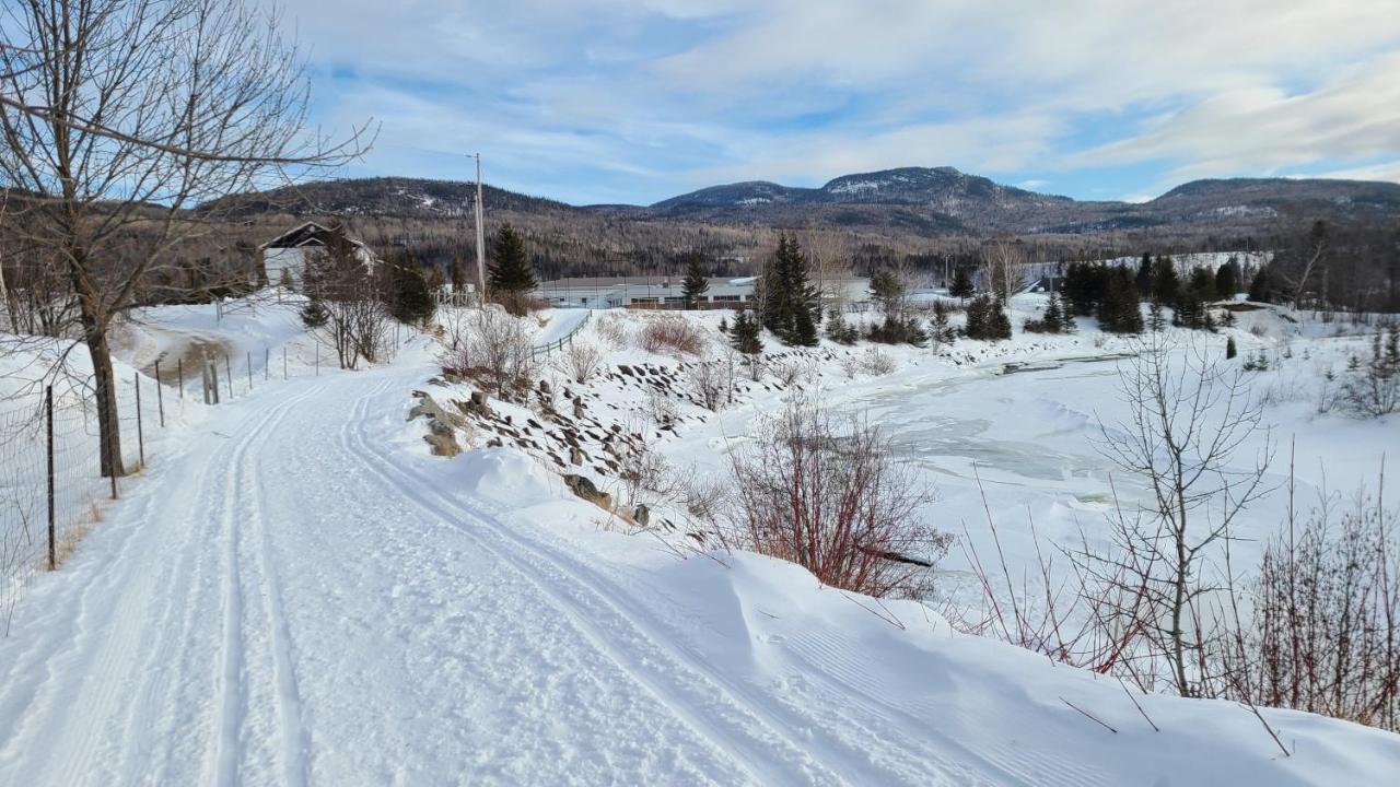 Condo-Chalet De La Vallee D'Edouard LʼAnse-Saint-Jean Exterior foto